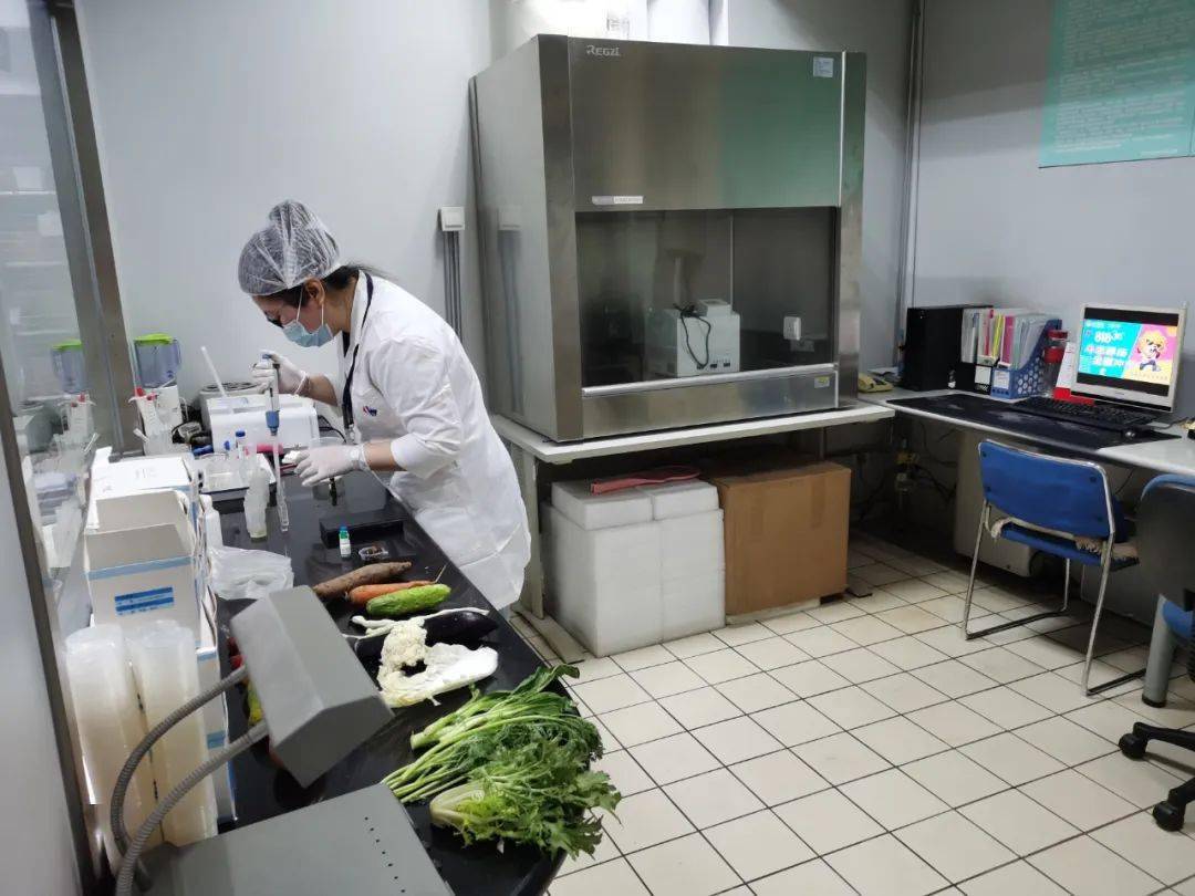 武威食品检测实验室装修方案